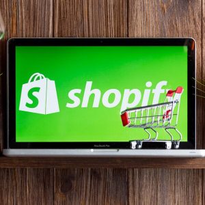 Build Shopify Store From Scratch