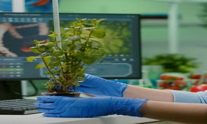 Herbal Medicine Practitioner Course Knowledge Door